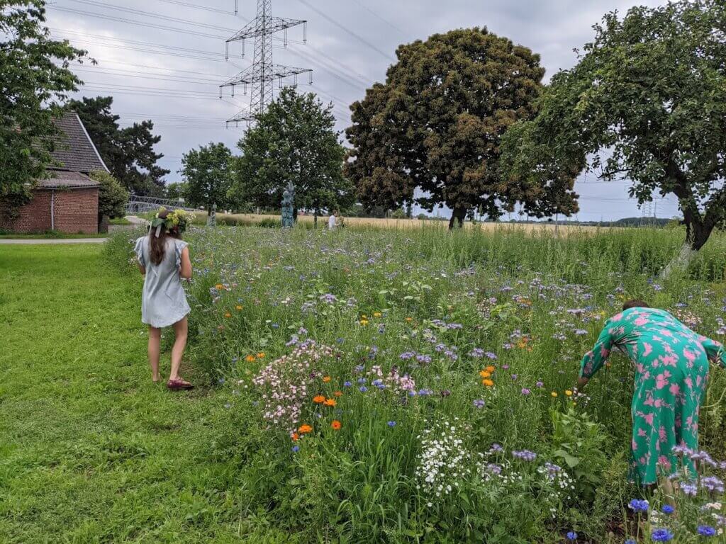 Blumenwiese am Rande der Party