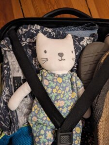 A plush cat toy in a travelling case
